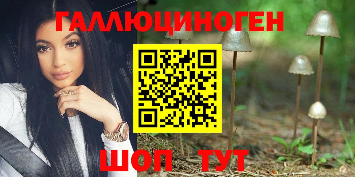 закладка  Галлюциногенные грибы мицелий  Вход с VPN  Михайловск 